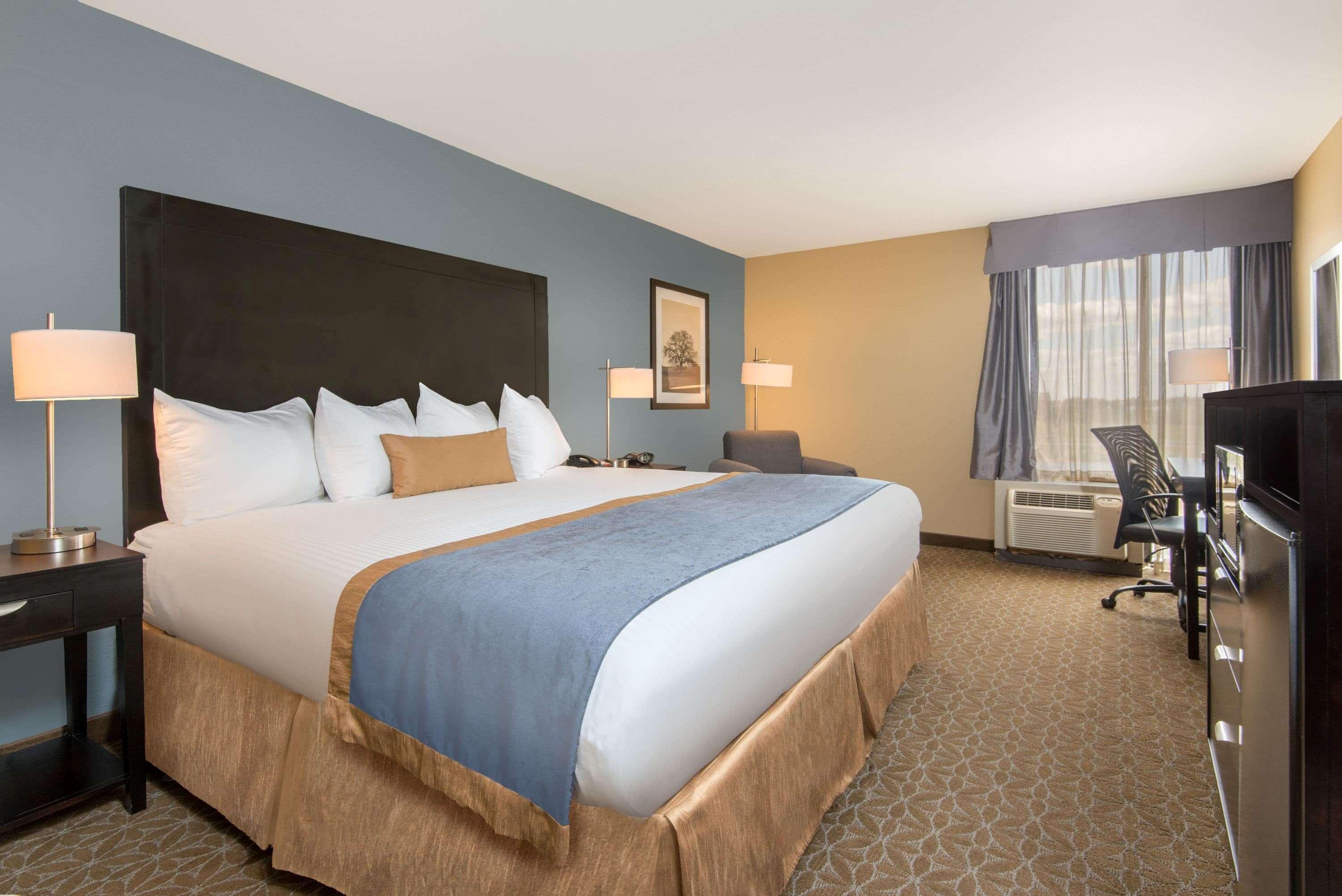 Wyndham Garden Texarkana מראה חיצוני תמונה